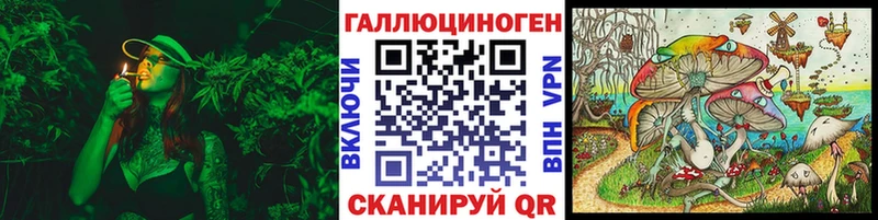 Галлюциногенные грибы Psilocybine cubensis  блэк спрут зеркало  Сызрань 
