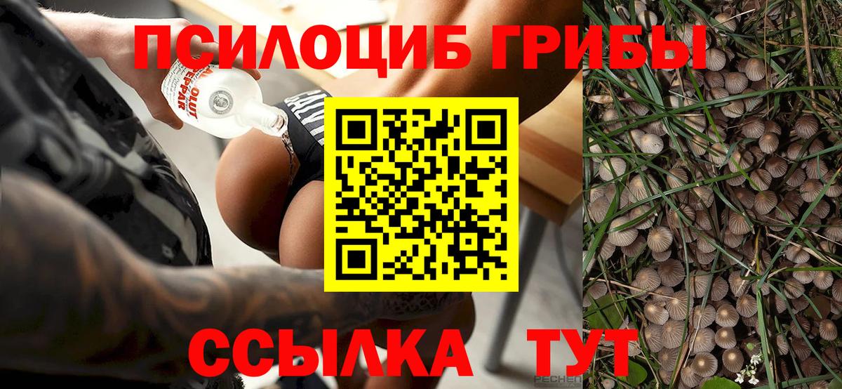 Галлюциногенные грибы прущие грибы  Вход с VPN  Псилоцибиновые грибы GOLDEN TEACHER  Сызрань 