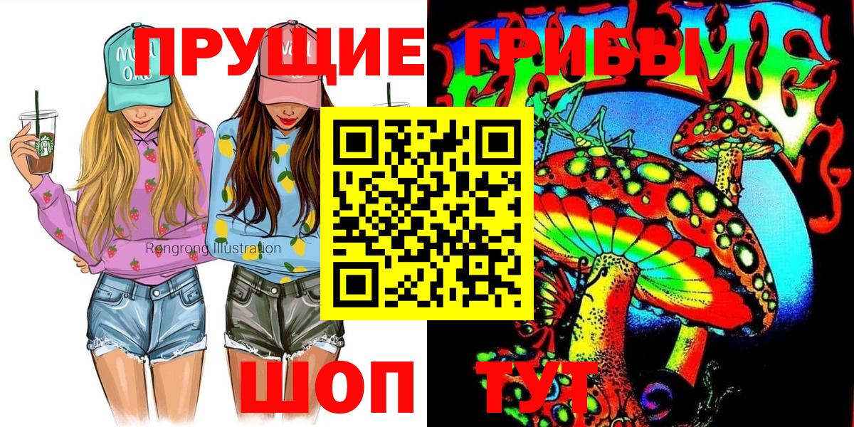 Псилоцибиновые грибы Psilocybe Сызрань